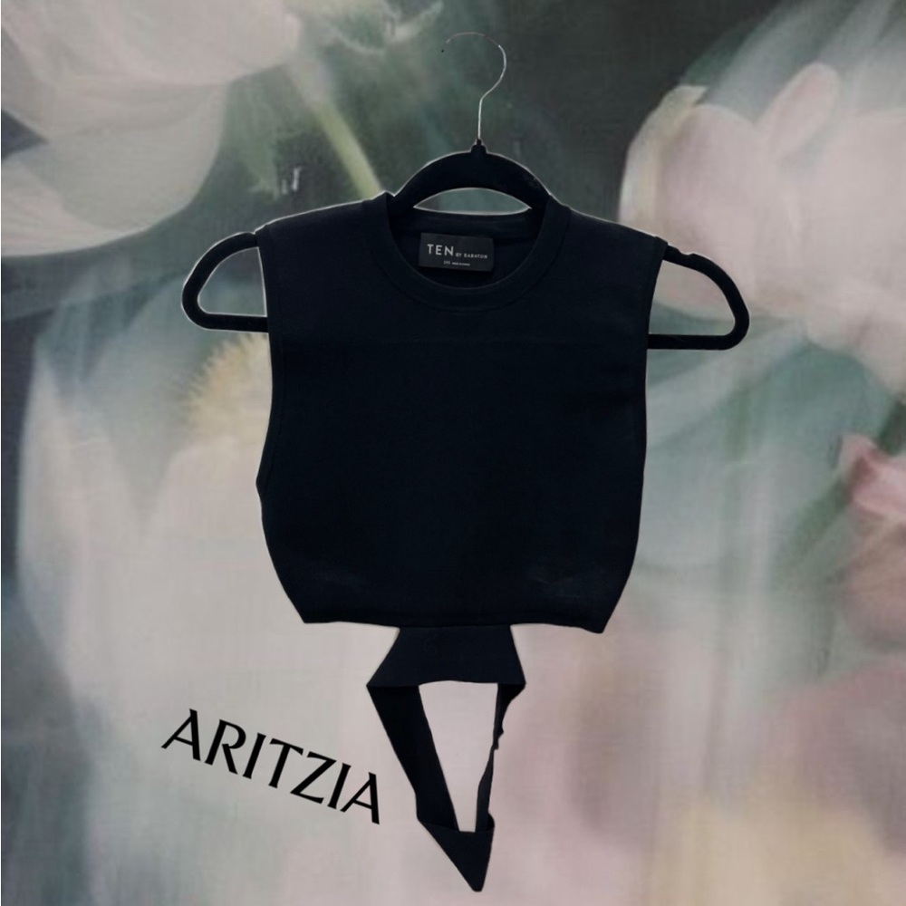 Aritzia - Ten by Babaton - Sleeveless Crop Top
